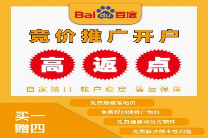 百度竞价运营的挑战与机遇：成功案例探讨